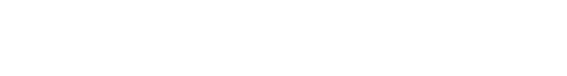 Logo Believe